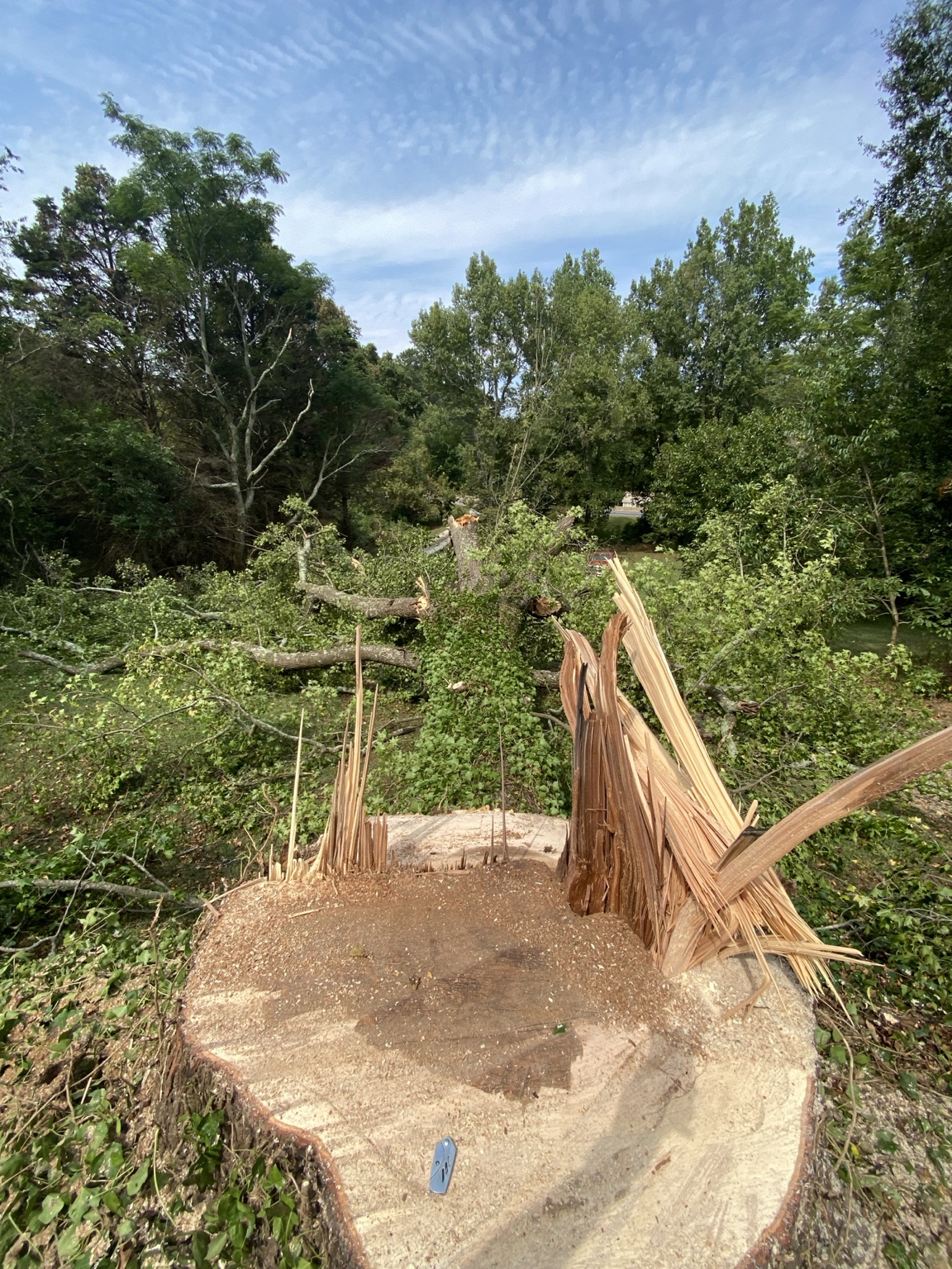 Tree work that supplies usable hardwood